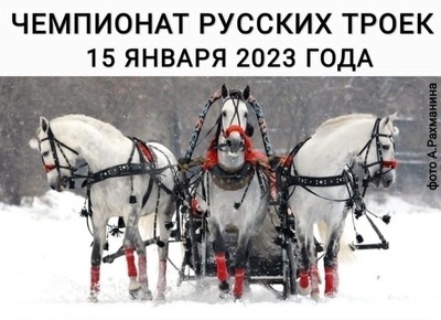 Чемпионат по езде на русских конных тройках пройдет в Костроме