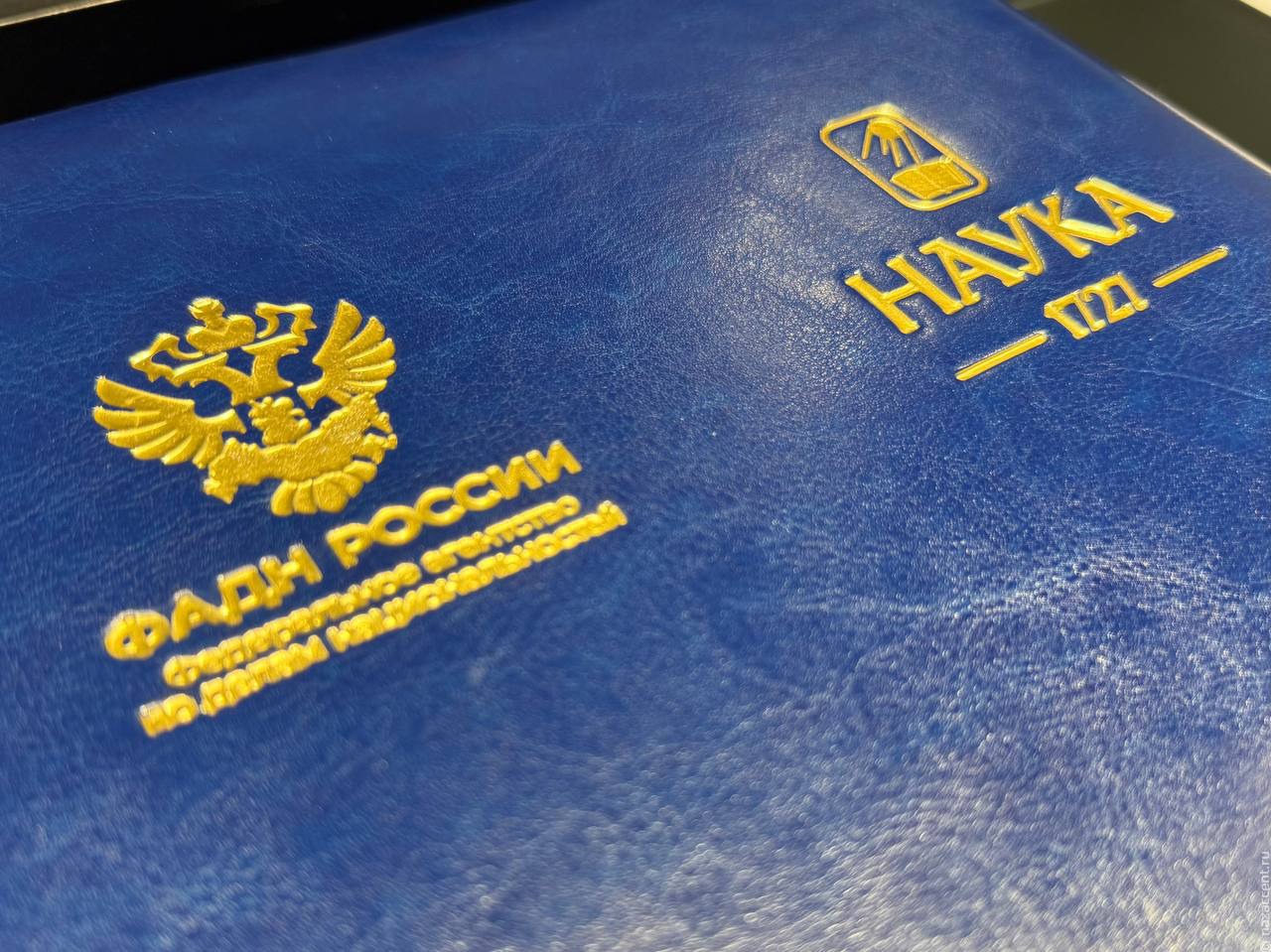 Издательство "Наука" готовит рекордный объем публикаций на языках народов России