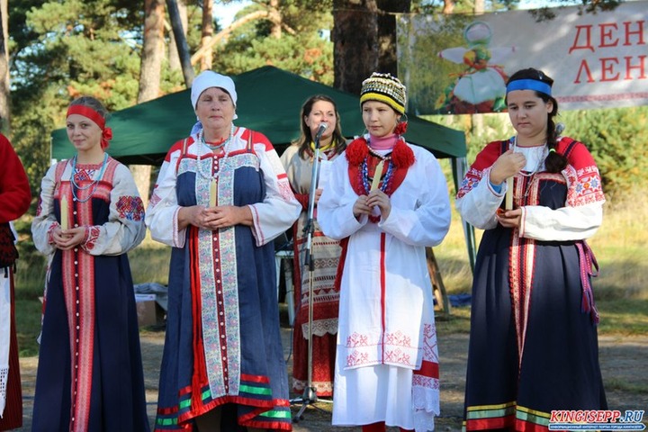 Против застройки деревни вожан собрали почти 400 подписей
