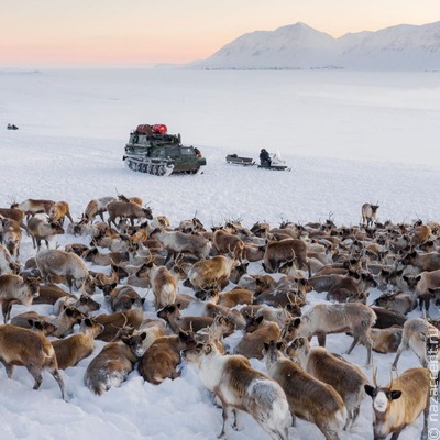 Новосибирский фотограф поделился фотографиями чукотских оленеводов