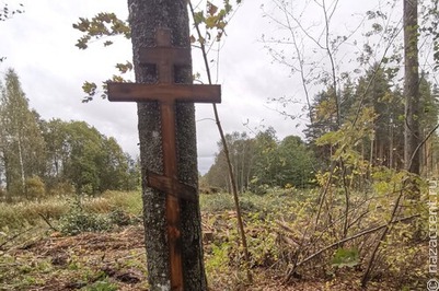 Вожане Ленобласти пожаловались на вырубку леса вокруг деревенского кладбища
