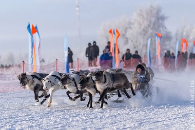 На Ямале стартовал День оленевода