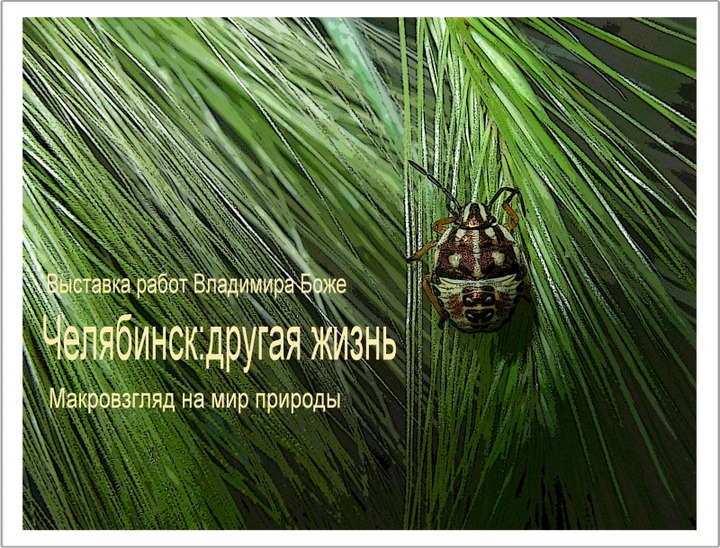 Новый взгляд на мир природы Челябинска