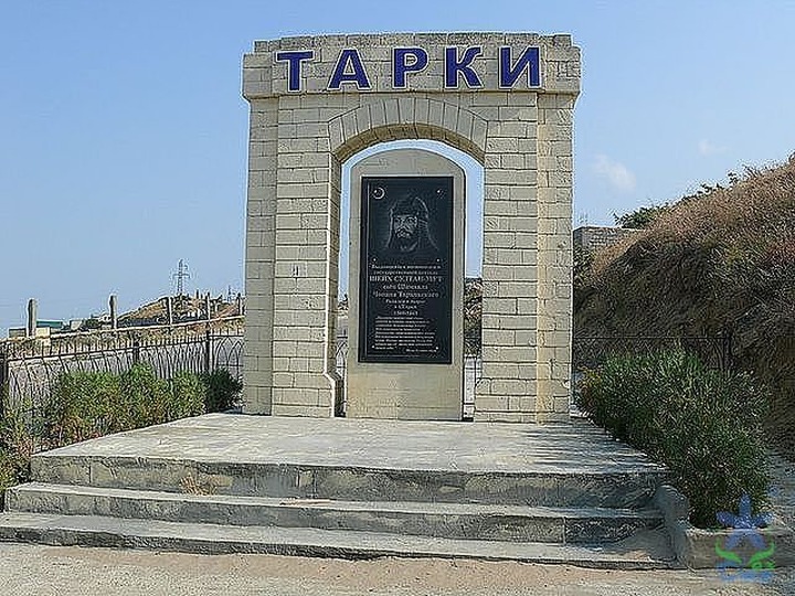 Лидеров таркинских поселков после драки в мэрии поместили под домашний арест