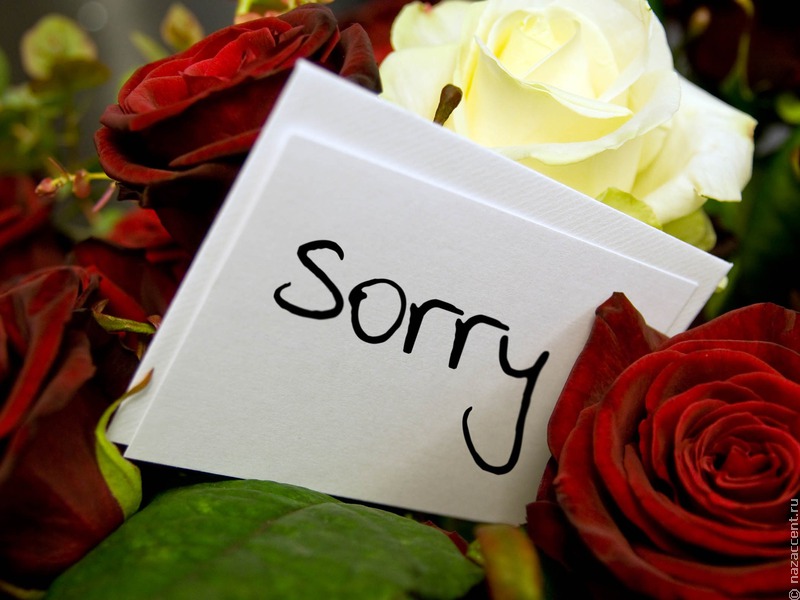 Как извиниться, попросить прощения на языках народов России