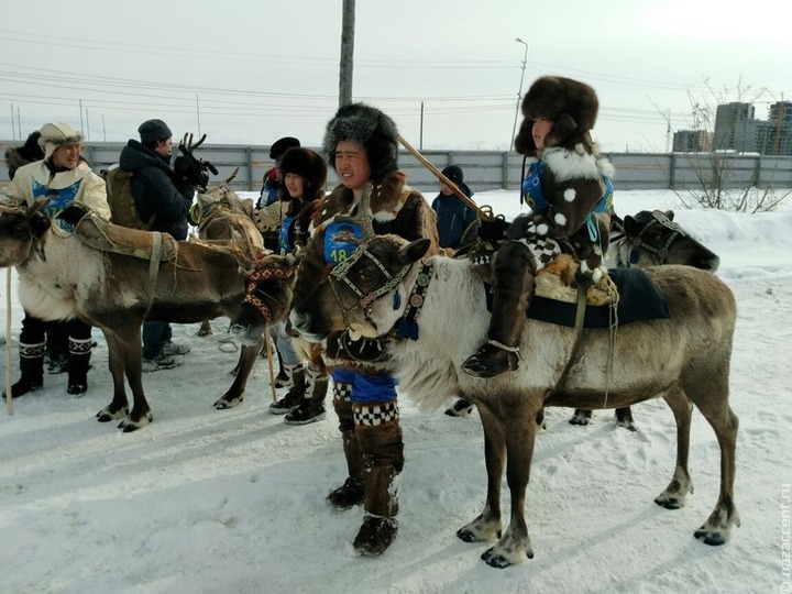 Курсы для оленеводов-механизаторов появились на Ямале