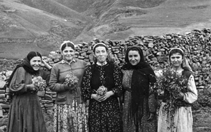 Агулы