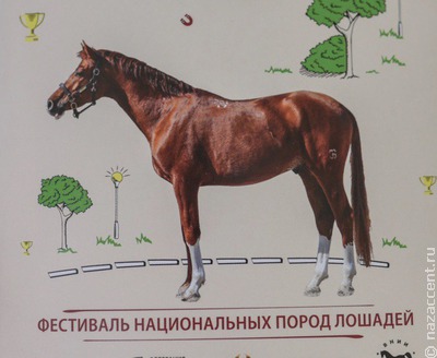 В московских парках проходит фестиваль национальных пород лошадей