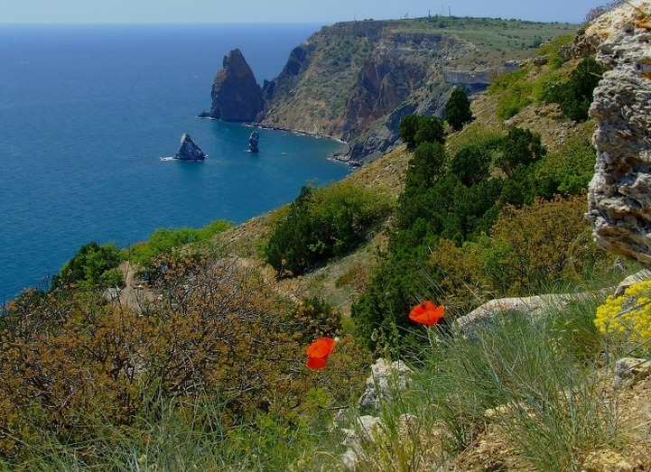 Утроилось количество желающих вернуться в Крым крымских татар