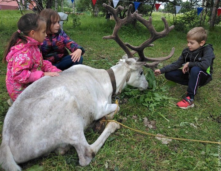 Коренные народы смогут регистрироваться в районе кочевания