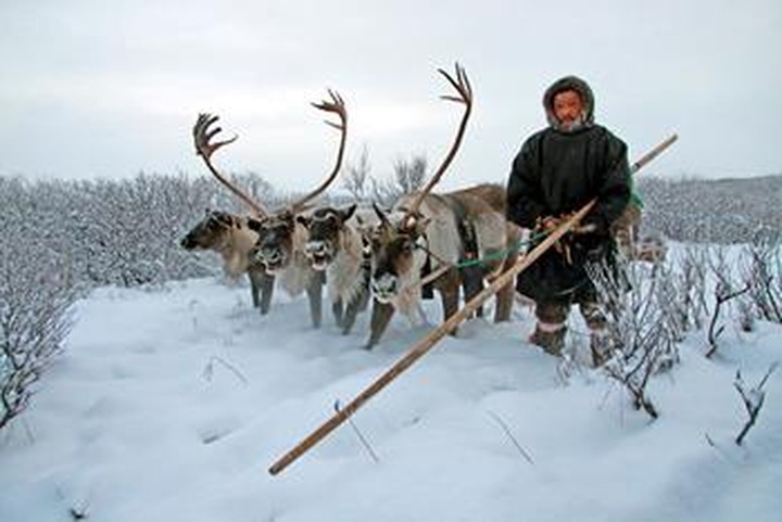 Лучший оленевод Югры получил лодочный мотор и Кубок губернатора