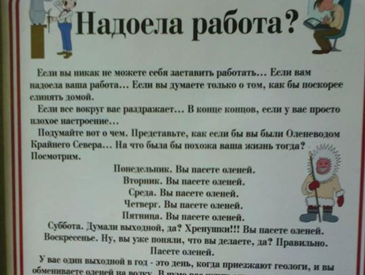 За шутку об оленеводах руководителю библиотеки Магадана объявили выговор