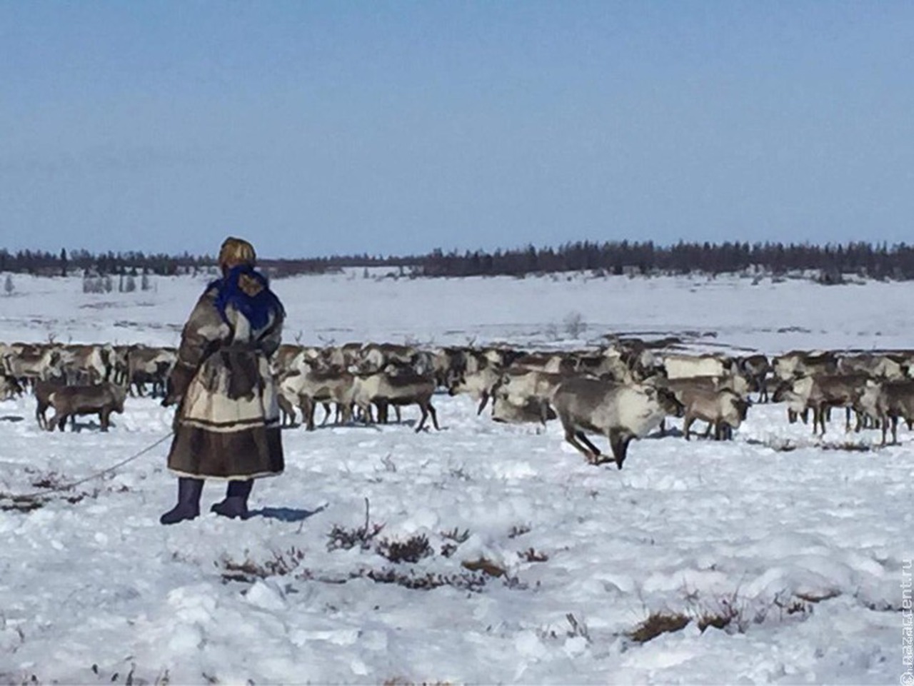 На Ямале выпустили документальный фильм о путешествии тревел-блогера к кочевникам