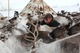 В Коми утвердили план развития коренных малочисленных народов