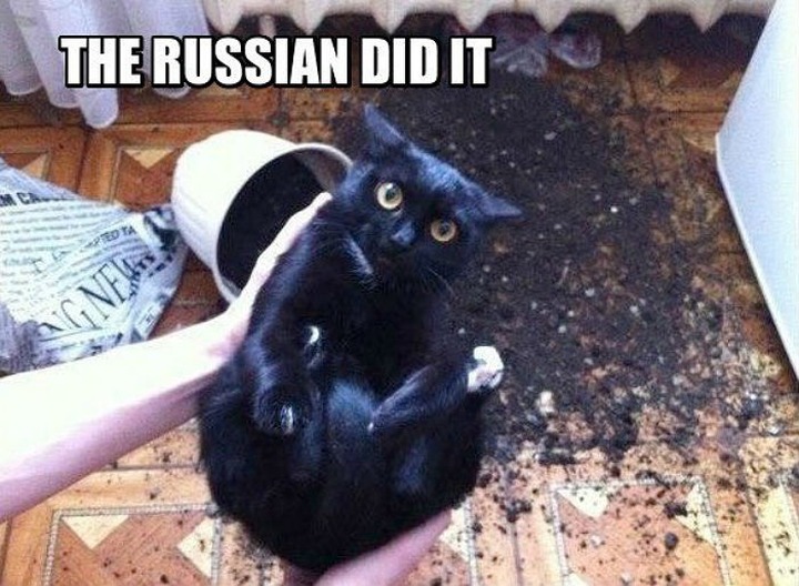 Это сделали русские