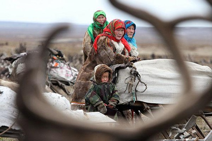На Ямале создали новую организацию для поддержки коренных народов