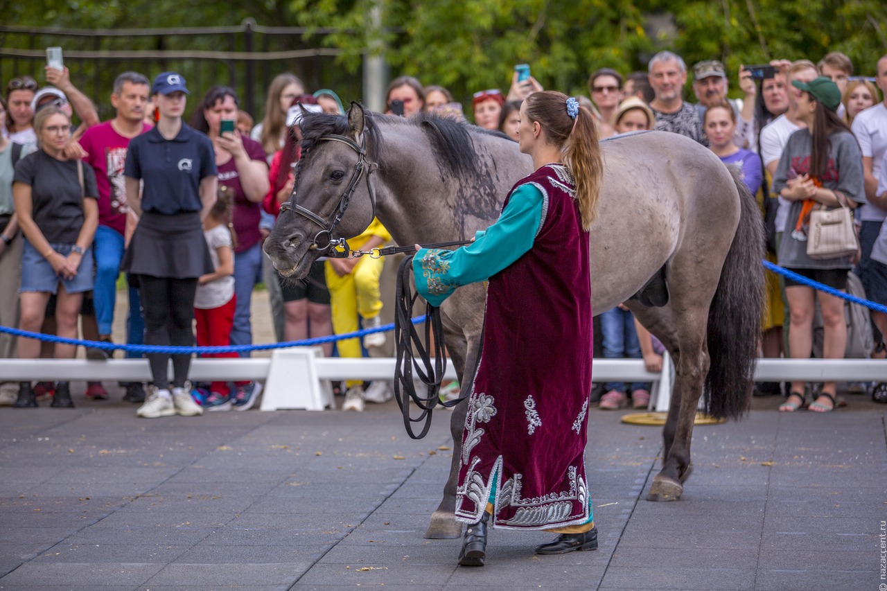 В Башкортостане пройдет фестиваль лошадей башкирской породы
