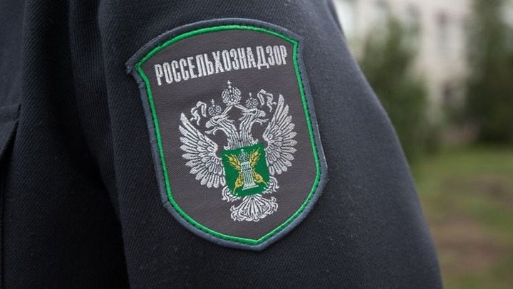 Россельхоз оштрафовал шаманов, которые устроили ритуал с сожжением верблюдов