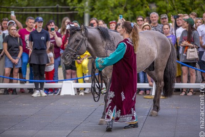 В Башкортостане пройдет фестиваль лошадей башкирской породы