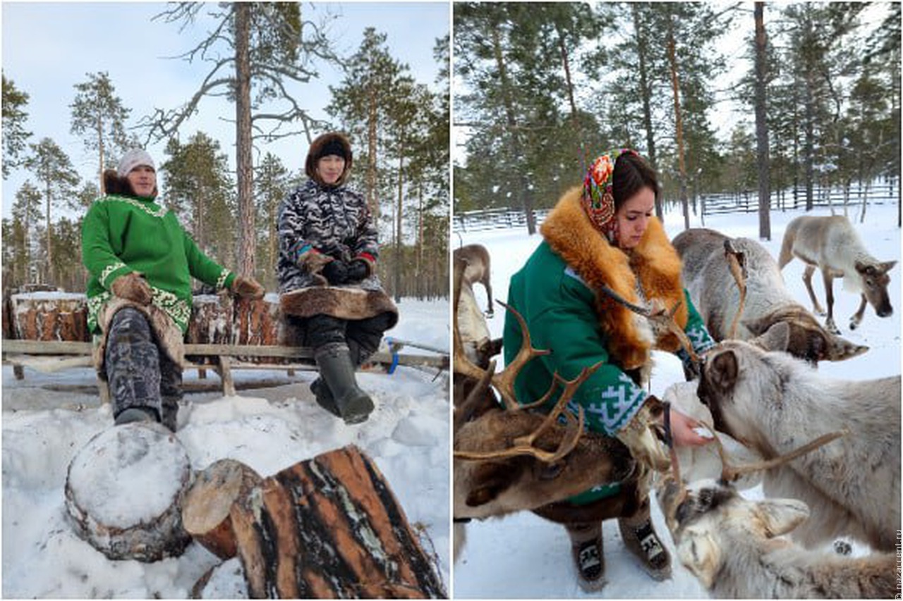 В Югре ищут молодых людей для помощи пожилым представителям коренных народов