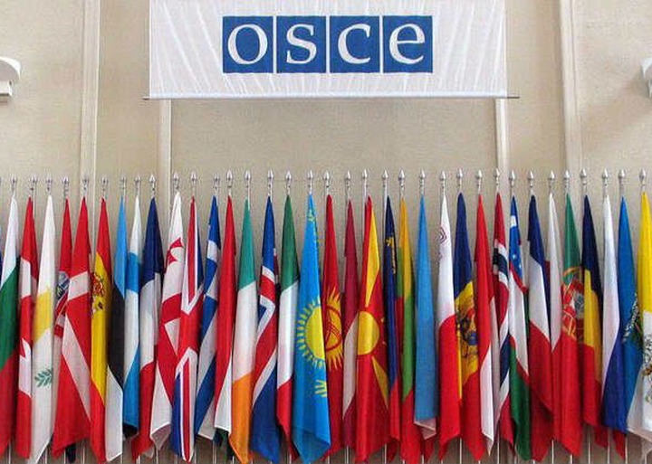 Представитель ОБСЕ раскритиковала российский антиэкстремистский закон