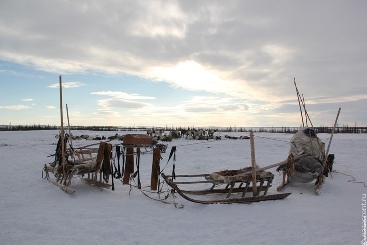 В Югре продолжают создавать "IT-стойбища" на родовых угодьях коренных народов Севера