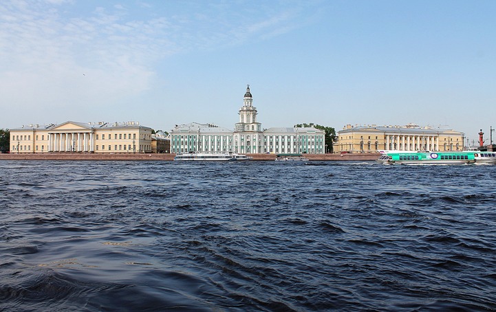 Жертвоприношение барана на азербайджанской свадьбе в Петербурге назвали инсценировкой