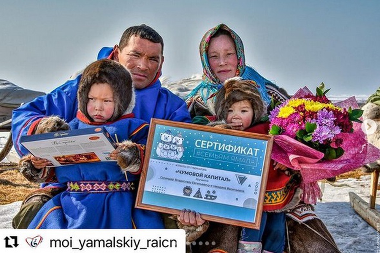 Чумовой капитал получили три кочевых семьи на Ямале