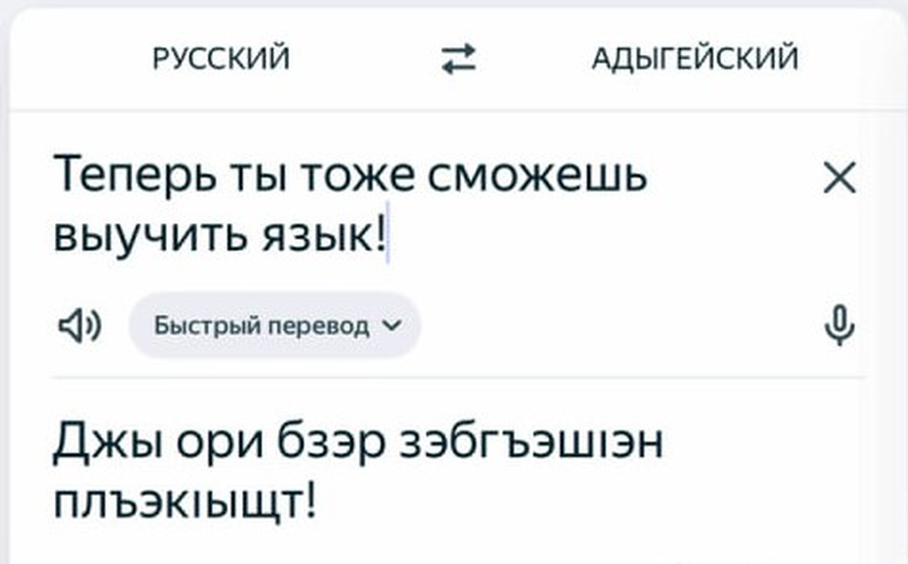 В "Яндекс Переводчик" добавили адыгейский язык