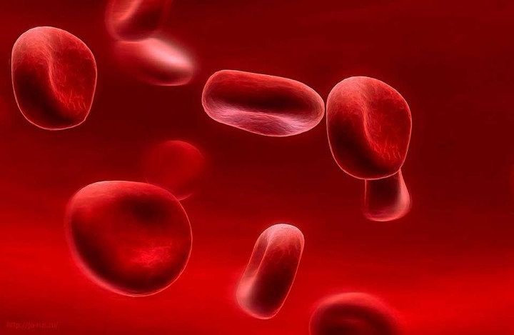 Чувашское наследственное заболевание помогло лауреатам Нобелевской премии сделать открытие