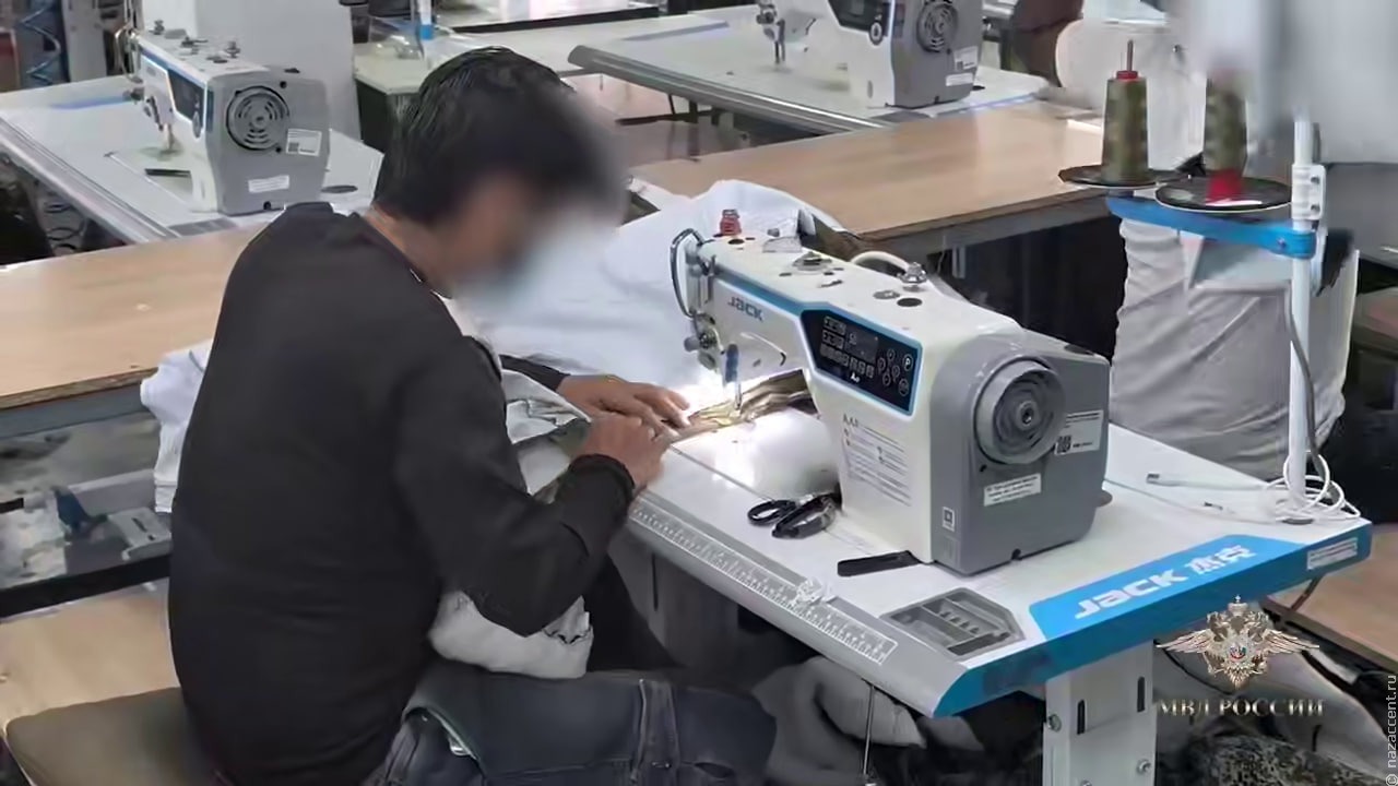 Более ста уголовных дел завели против организаторов канала незаконной миграции