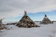 "Чумовой капитал" могут распространить на все северные регионы России