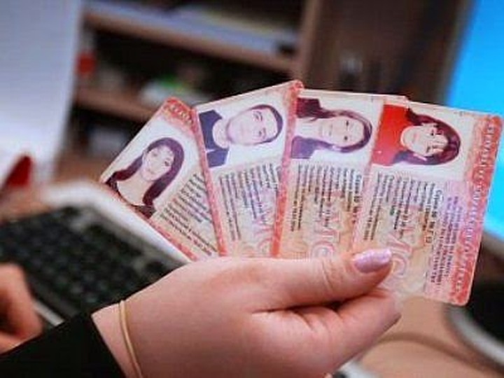 Глава ФМС: Система патентов для мигрантов оправдала себя