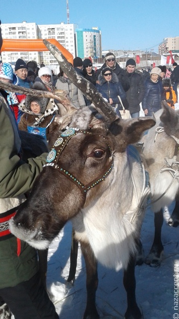 В Забайкалье предложили привлекать оленеводов к тушению труднодоступных пожаров