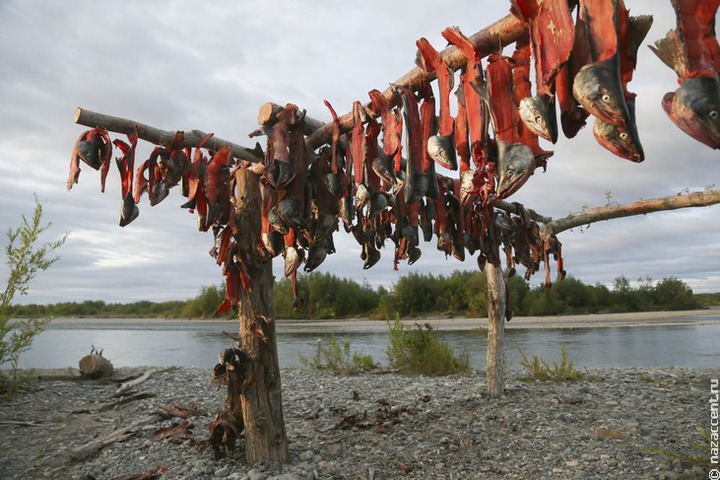 Жители камчатских поселков смогут получать квоты на вылов рыбы наравне с коренными народами