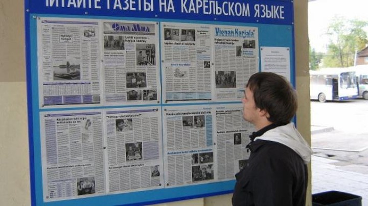 Шестеро абитуриентов захотели изучать карельский и вепсский языки в ПетрГУ