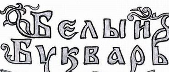 За размещение неонацистского "Белого букваря" суд назначил 6 месяцев исправительных работ