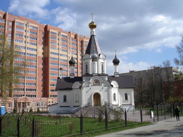 Жители Домодедова объявили о создании русской республики