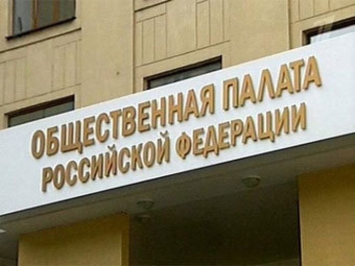 Член Общественной палаты: Действия сотрудников МВД не соответствуют Конституции