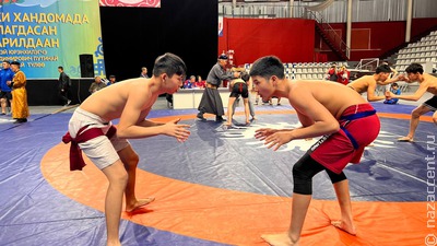В Улан-Удэ завершился XV международный турнир по бурятской национальной борьбе