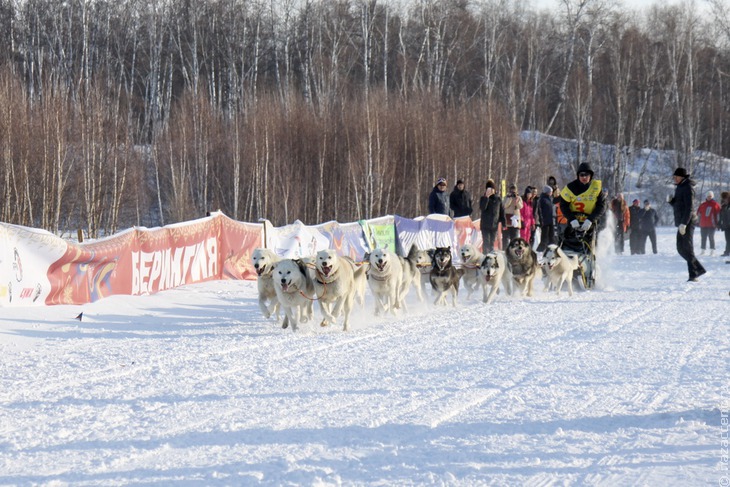 Камчатская экстремальная традиционная гонка на собачьих упряжках "Берингия-2018" - Национальный акцент