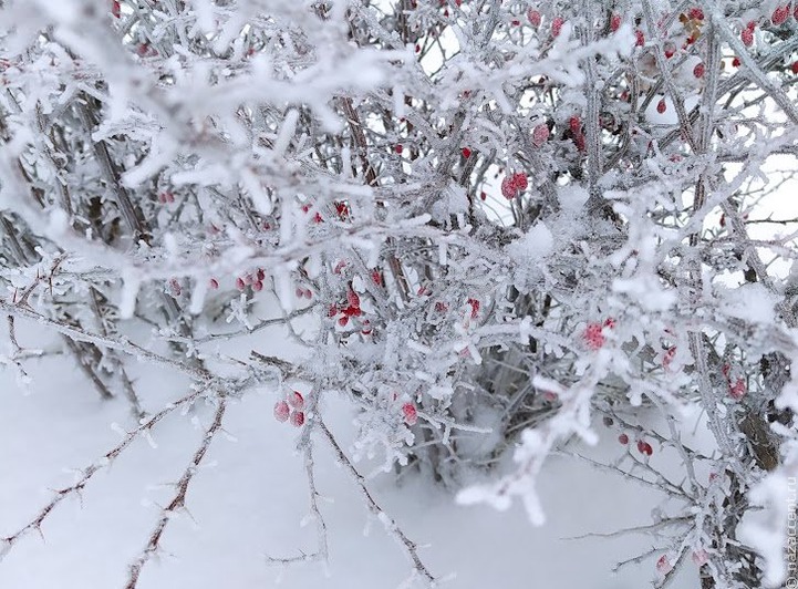 В эвенкийском поселке Красноярского края сообщили о 75-градусном морозе