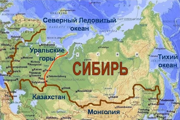 Жителя Иркутской области, призывавшего к отделению Сибири, признали невменяемым
