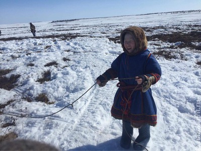 В Ассоциации коренных малочисленных народов предложили законодательно закрепить статус арктических кочевников