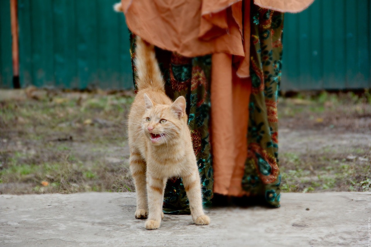 Курды Ставрополья: традиции предков на русской земле