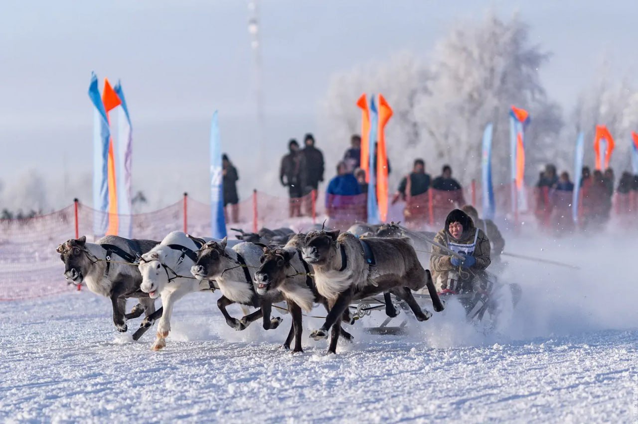 На Ямале стартовал День оленевода
