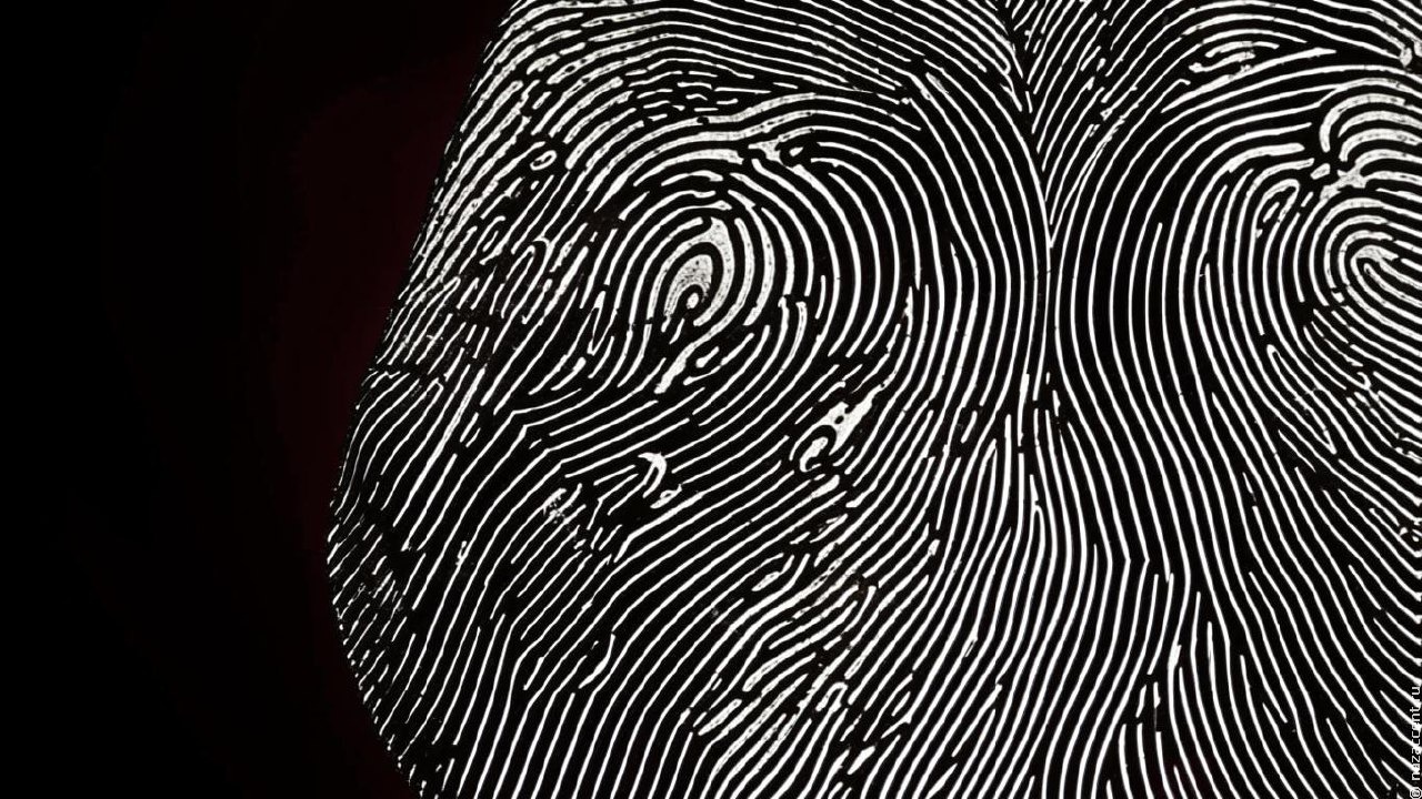 В Следственном комитете предложили ввести обязательную биометрию для всех мигрантов