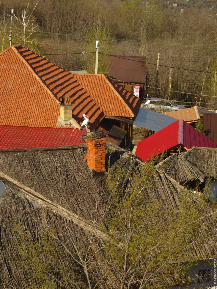 Национальная деревня в Саратове - Национальный акцент