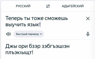 В "Яндекс Переводчик" добавили адыгейский язык