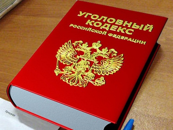 Защита Носика поднимет вопрос о конституционности существовании экстремистской статьи